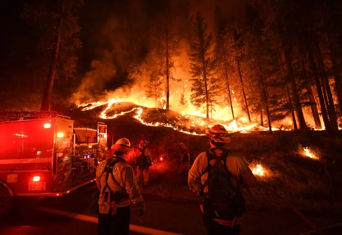 Incendio forestal