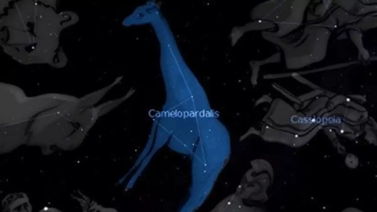 camelopardalids constelacion