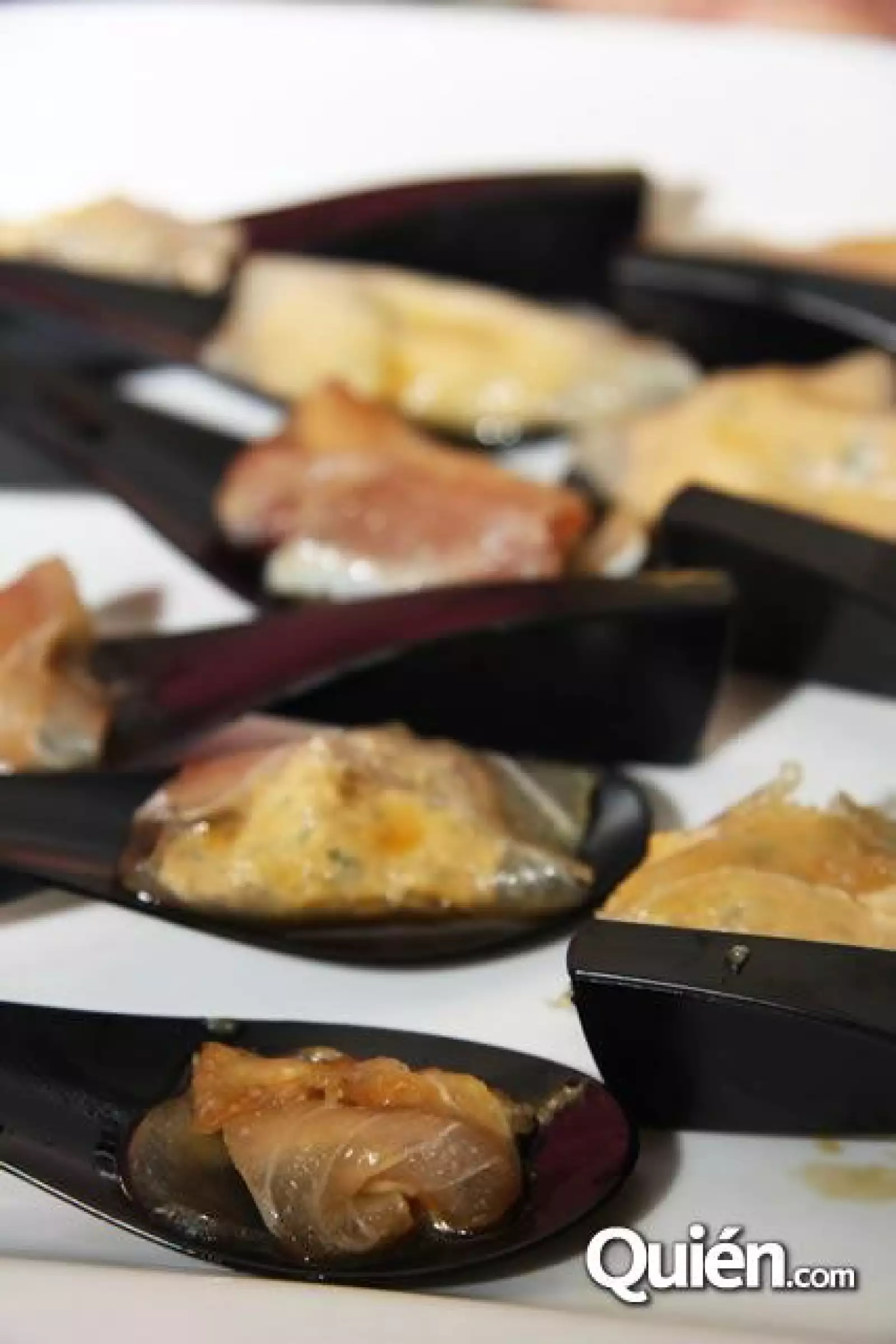 Relanzamiento Casa Poniente