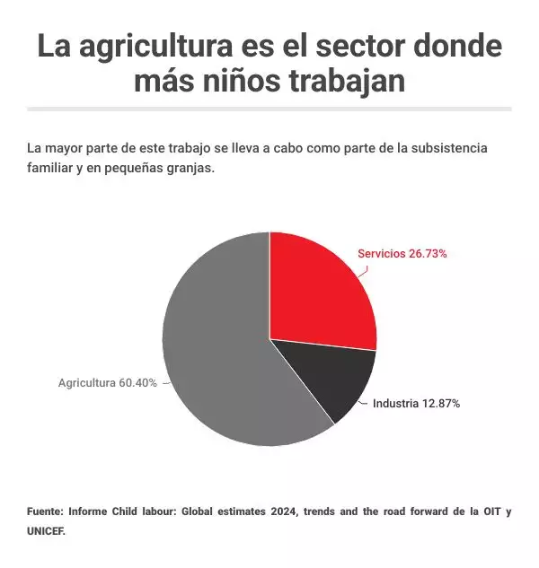 trabajo-infantil-por-sectores.jpg