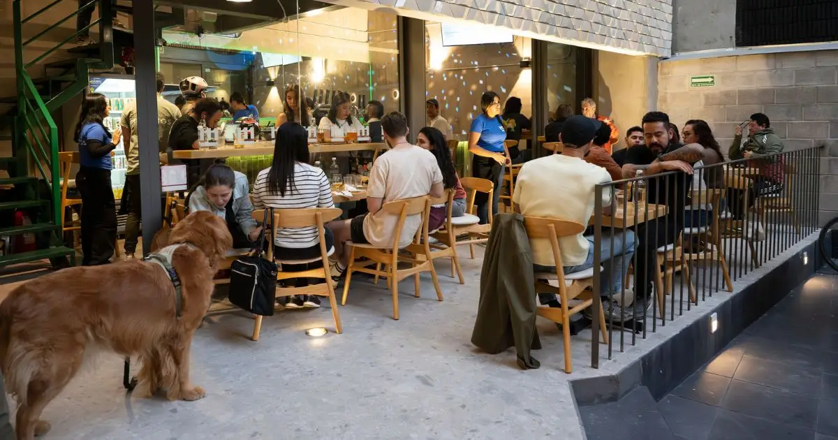 Morenos Tap Room Escandón