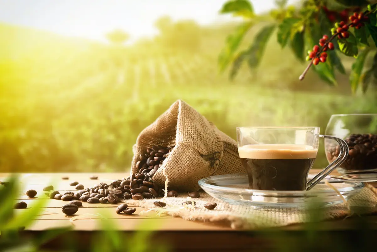 Regalos para los amantes del café