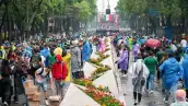 aficionados reforma