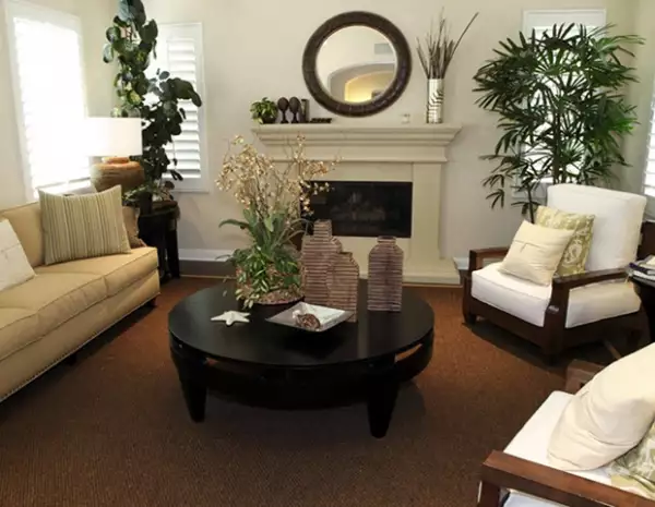 Las plantas ayudan al flujo de energía. Coloca plantas en tu sala, cocina y cuarto de estar.