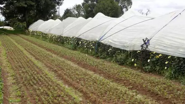 Conagua entrega 5 pozos en el Estado de M�xico