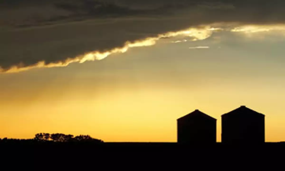 El Departamento de Agricultura ha reducido en dos ocasiones su pronóstico sobre la producción de maíz y soja. (Foto: AP)