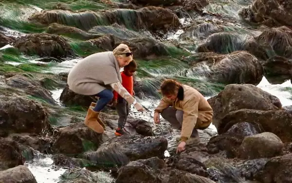 Así fueron captados el año pasado, conviviendo como una familia feliz.
