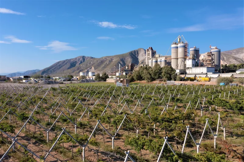 Viñedo de cemex