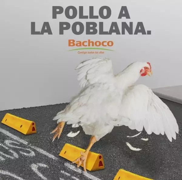 Publicidad de Bachoco