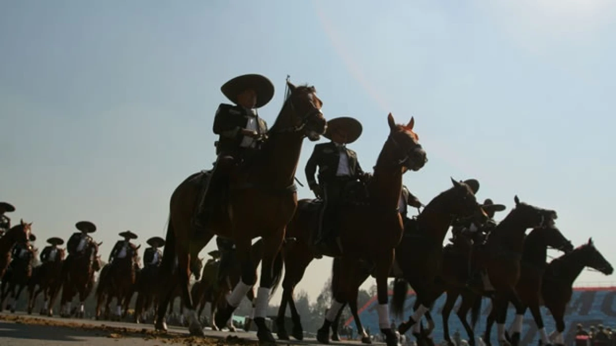 desfile 20 noviembre