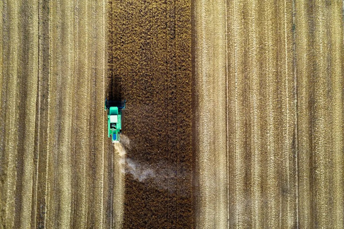 (Un tractor atraviesa un cultivo de trigo en Ucrania)