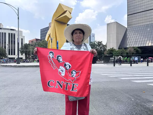 Francisca Pérez, maestra de la CNTE