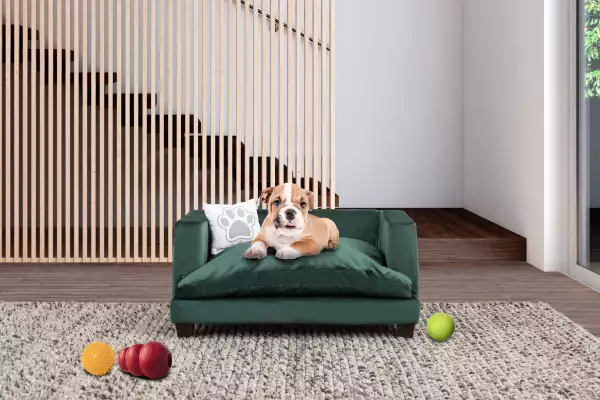 mobiliario de mascotas