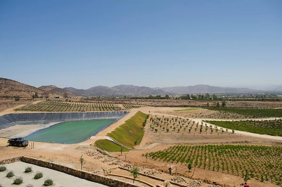 Valle de Guadalupe