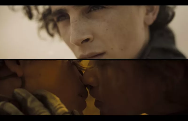 timothee-pelicula-zendaya.jpg