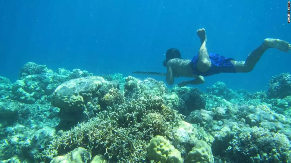 Bajau