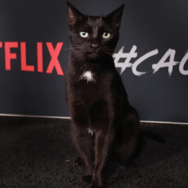 SALEM