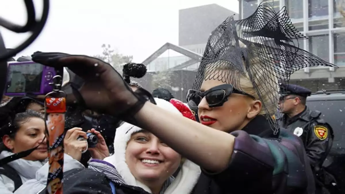 Lady Gaga Harvard fundación