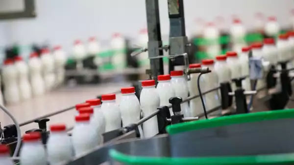 Fábrica de leche