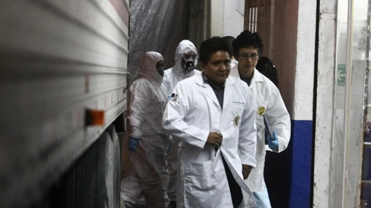 Forense