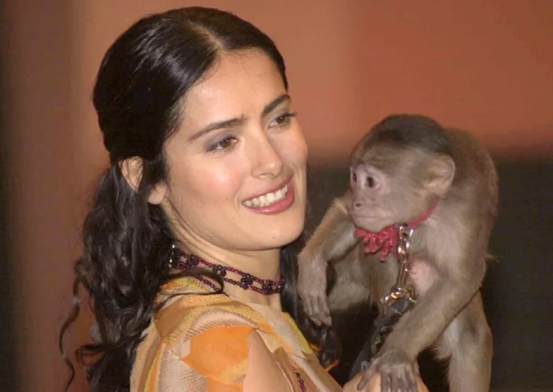 La infancia de la actriz se vio rodeada por animales exóticos, como tres tigres y después dos monos que le fueron obsequiados por el actor Antonio Banderas cuando trabajaban juntos.