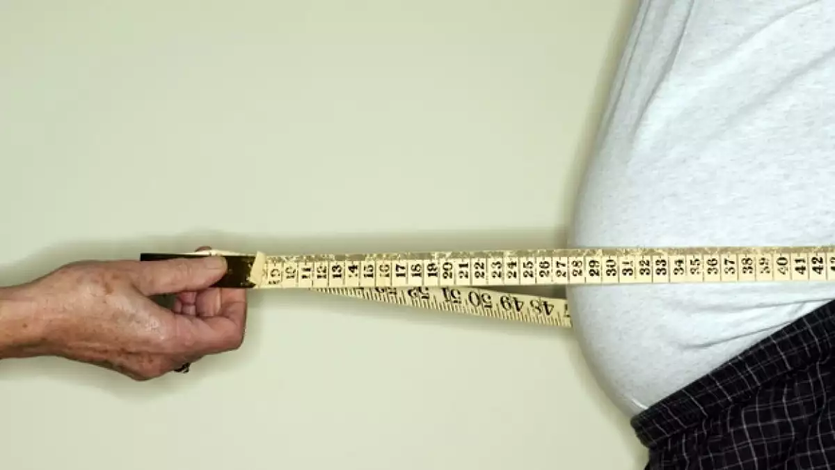 obesidad panza belly fat