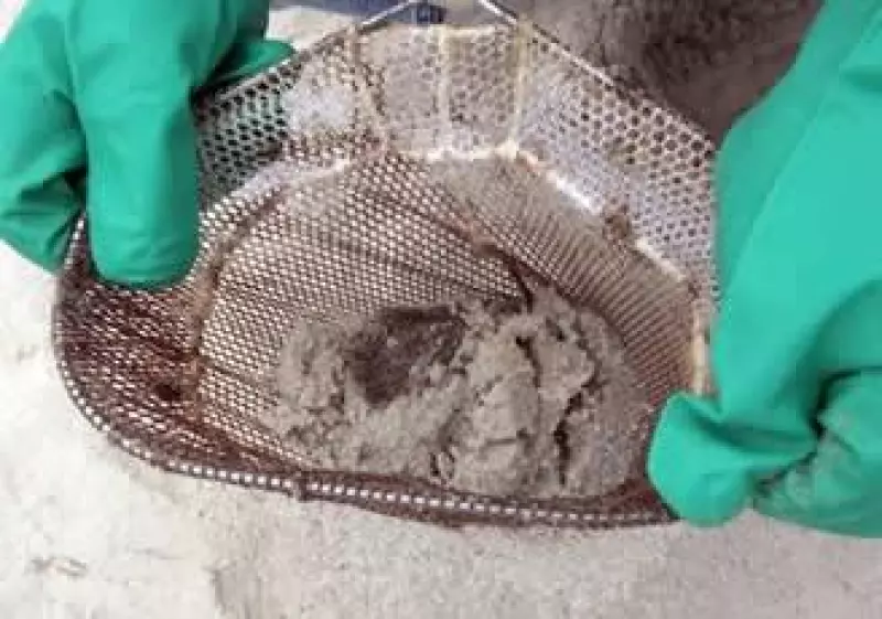 limpieza de arena por derrame