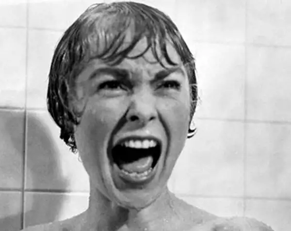 Considerada como un clásico de las películas de terror, Psicosis fue estrenada en 1960. Dirigida por Alfred Hitchcock,  reconocido director y productor británico, fue elogiada como una obra de arte...