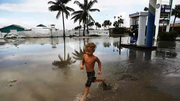 Cambio climático