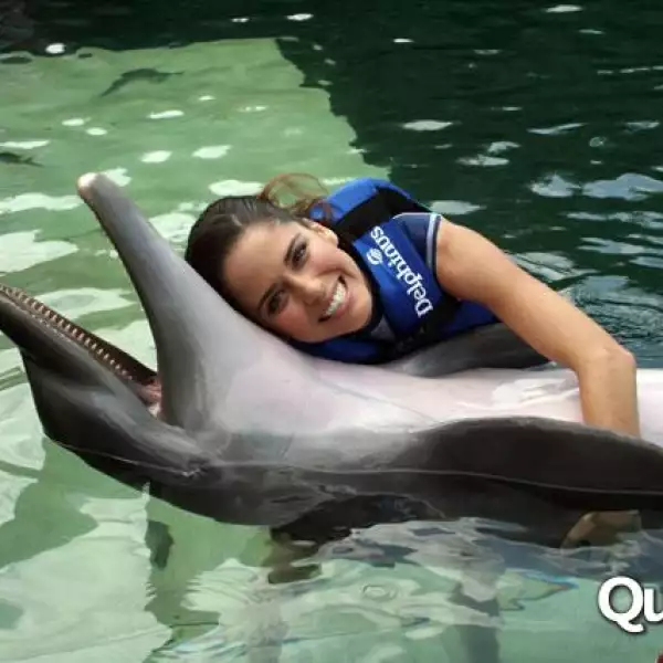 Ana Claudia Talancón rostro Delphinus