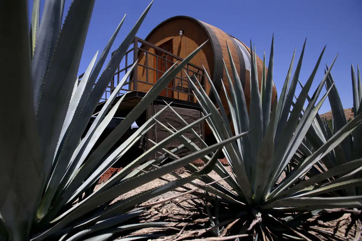 MEXICO-TOURISM-TEQUILA-HOTEL