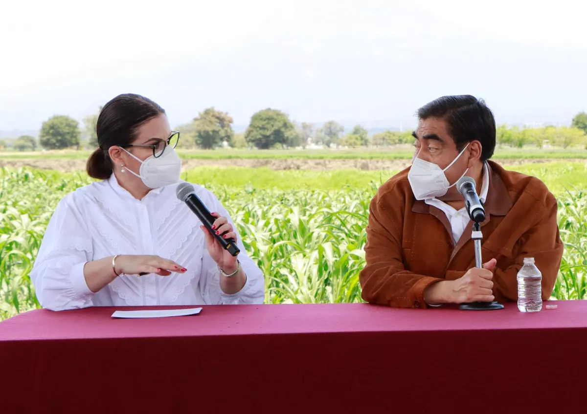 Ana Lucía Hill relevo interino de Miguel Barbosa