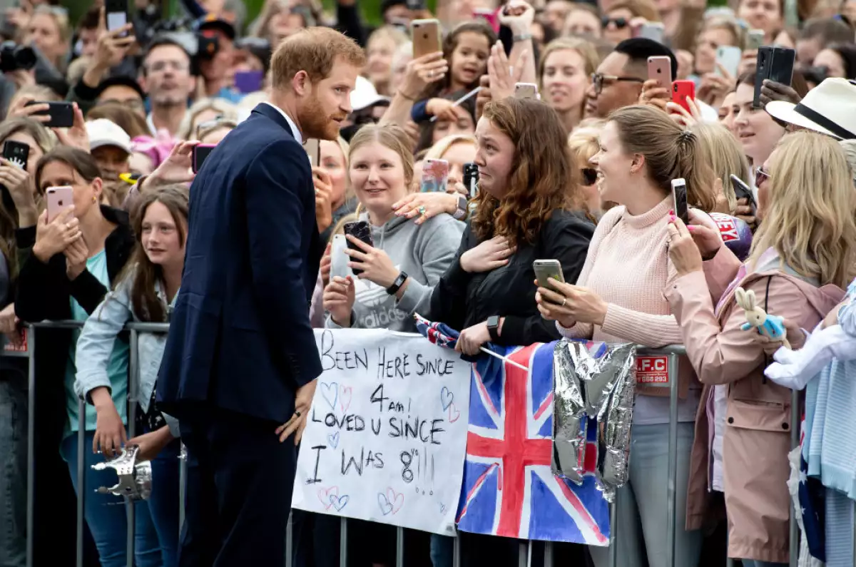 Fan de Harry