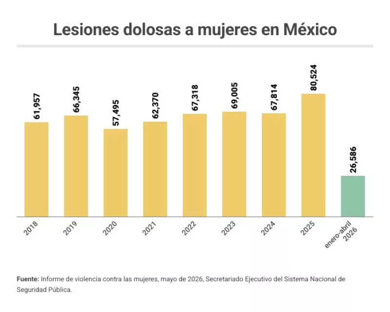 lesiones dolosas mujeres.jpg