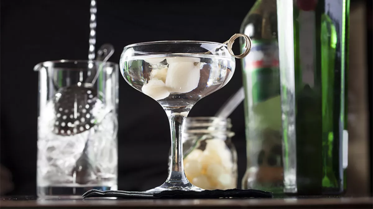 Gibson (Foto: Shutterstock)