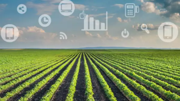 IoT_agroindustria