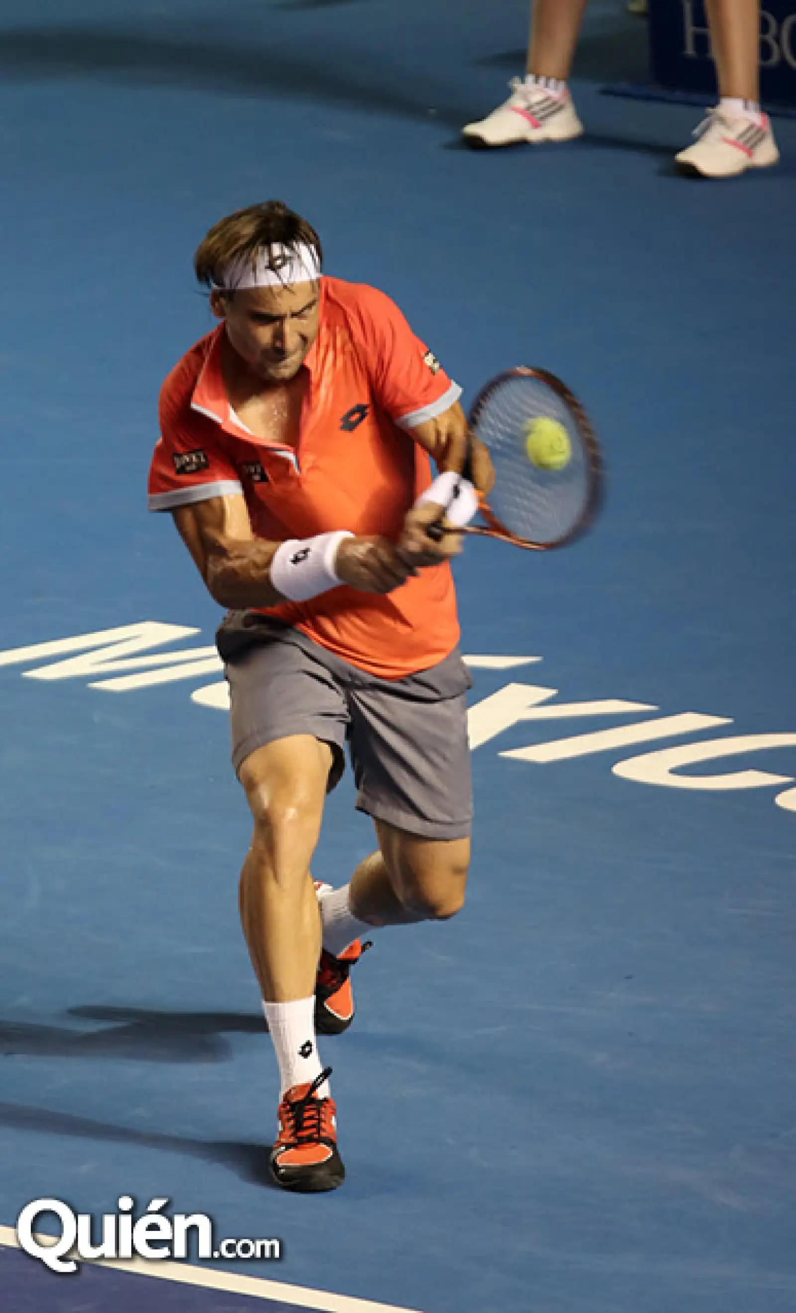 David Ferrer
