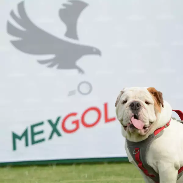 Theo - Mascota MexGolf.jpg