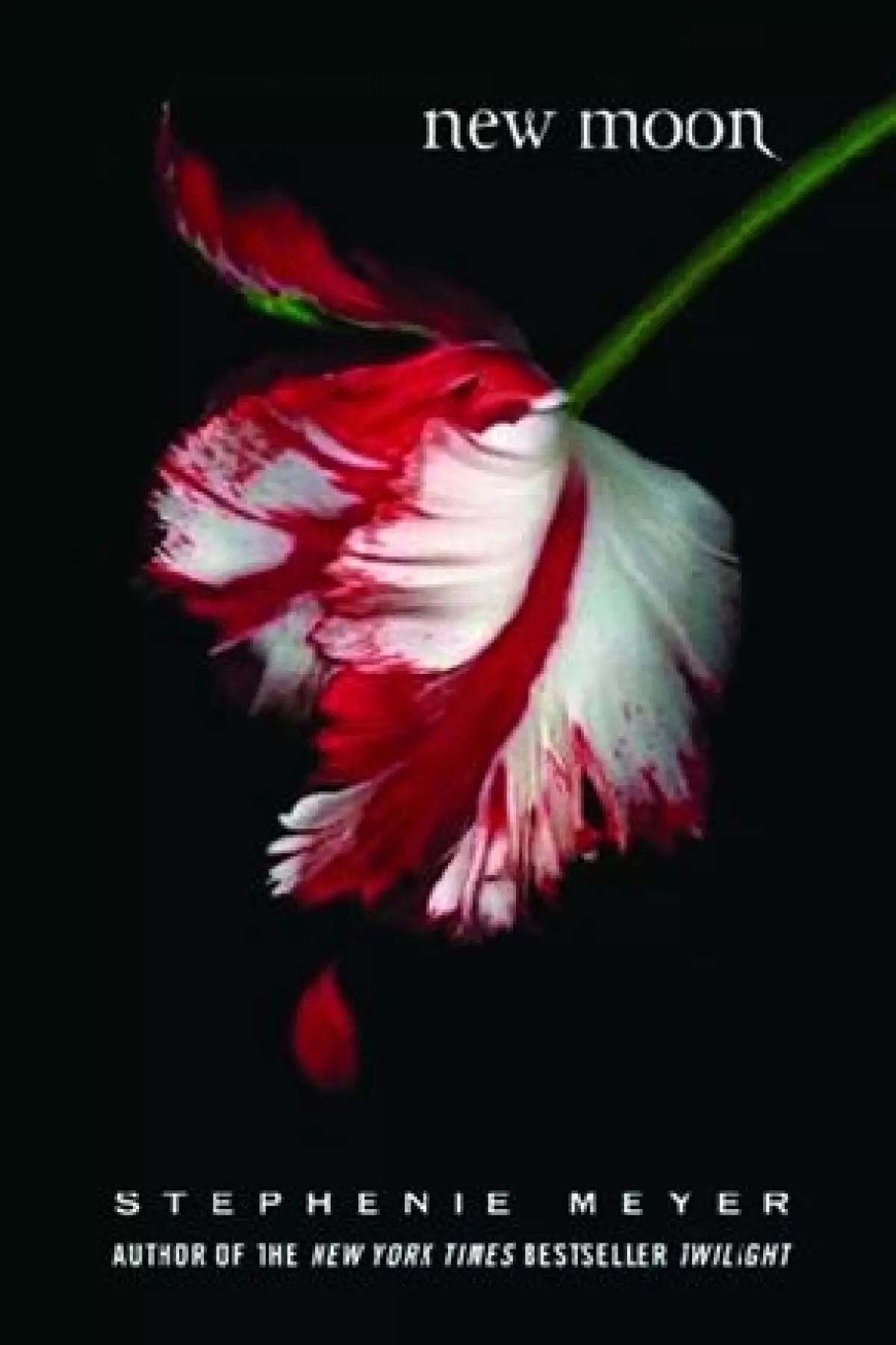 Agosto 2006. En Luna nueva se pone a prueba el amor.