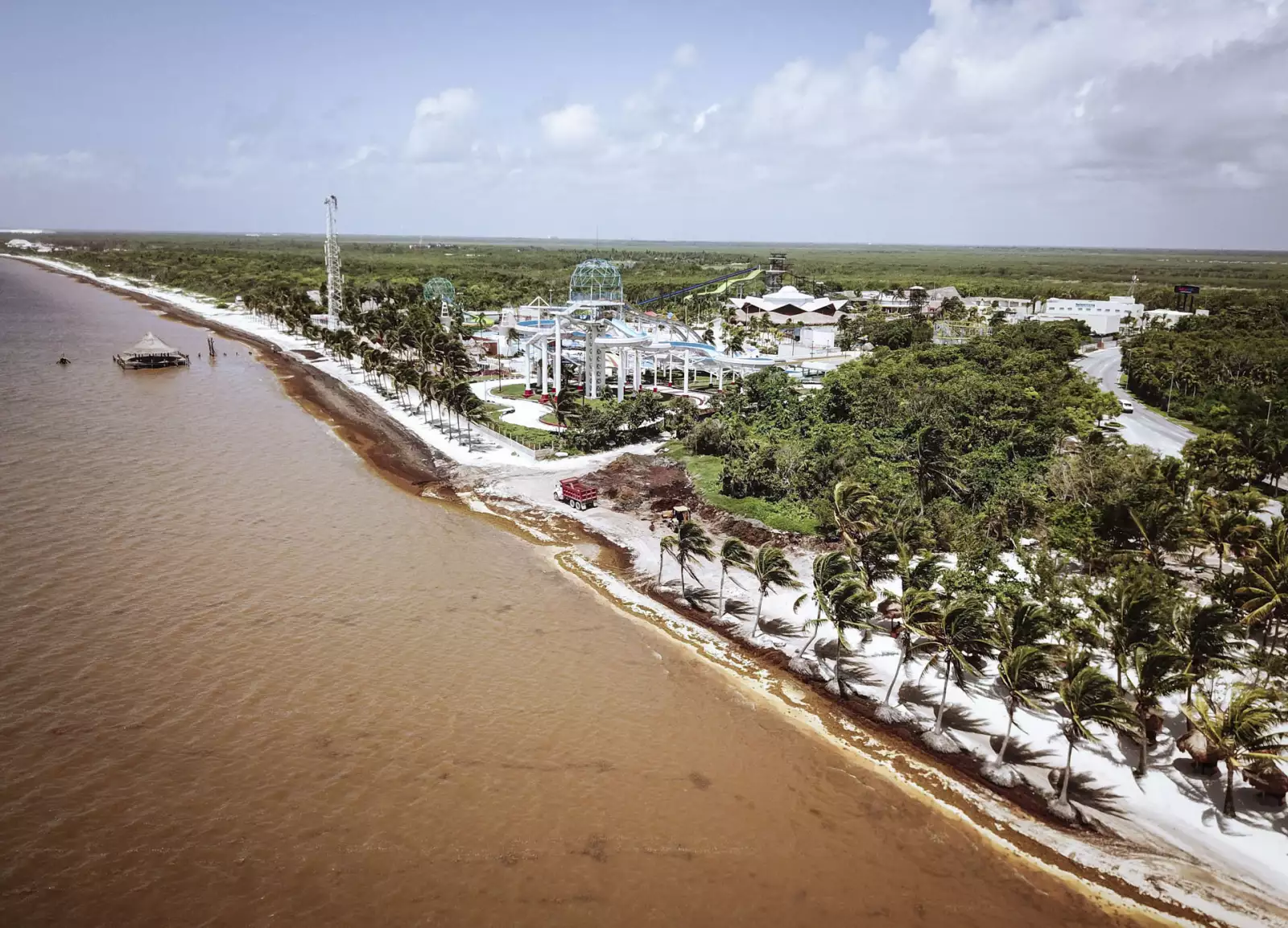 Miles de toneladas del alga llegan a los centros turísticos en la víspera del verano, en la imagen Playa Coral y Playa Ballenas Fe.