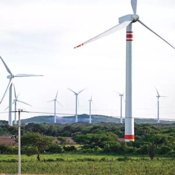 Cada uno de los aerogeneradores tiene un promedio de vida de nueve años.
