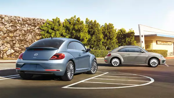 Beetle 02.jpg