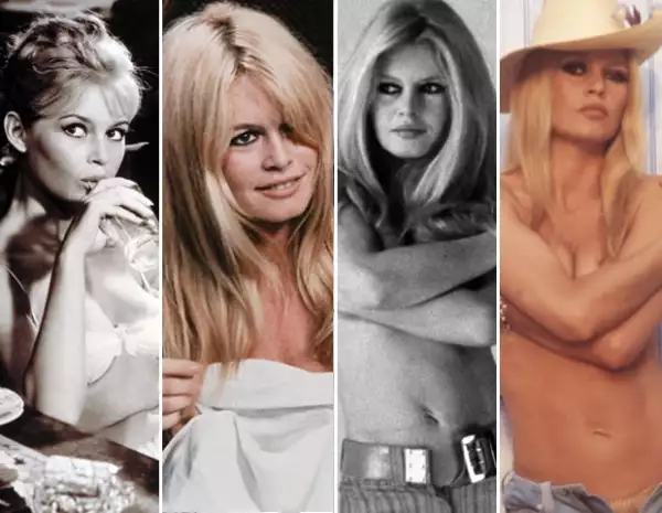 Bardot se retiró en 1973.