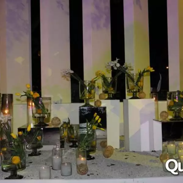 Boda Juan Arturo Covarrubias, Tatiana Plasencia