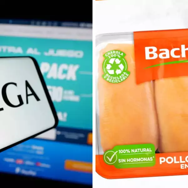 Bachoco y Megacable evolucionaron por caminos distintos, pero mantienen un mismo origen.