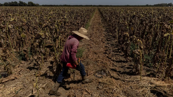 Ongoing drought in California