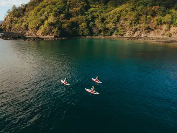 paddle-board-four-seasons.jpg