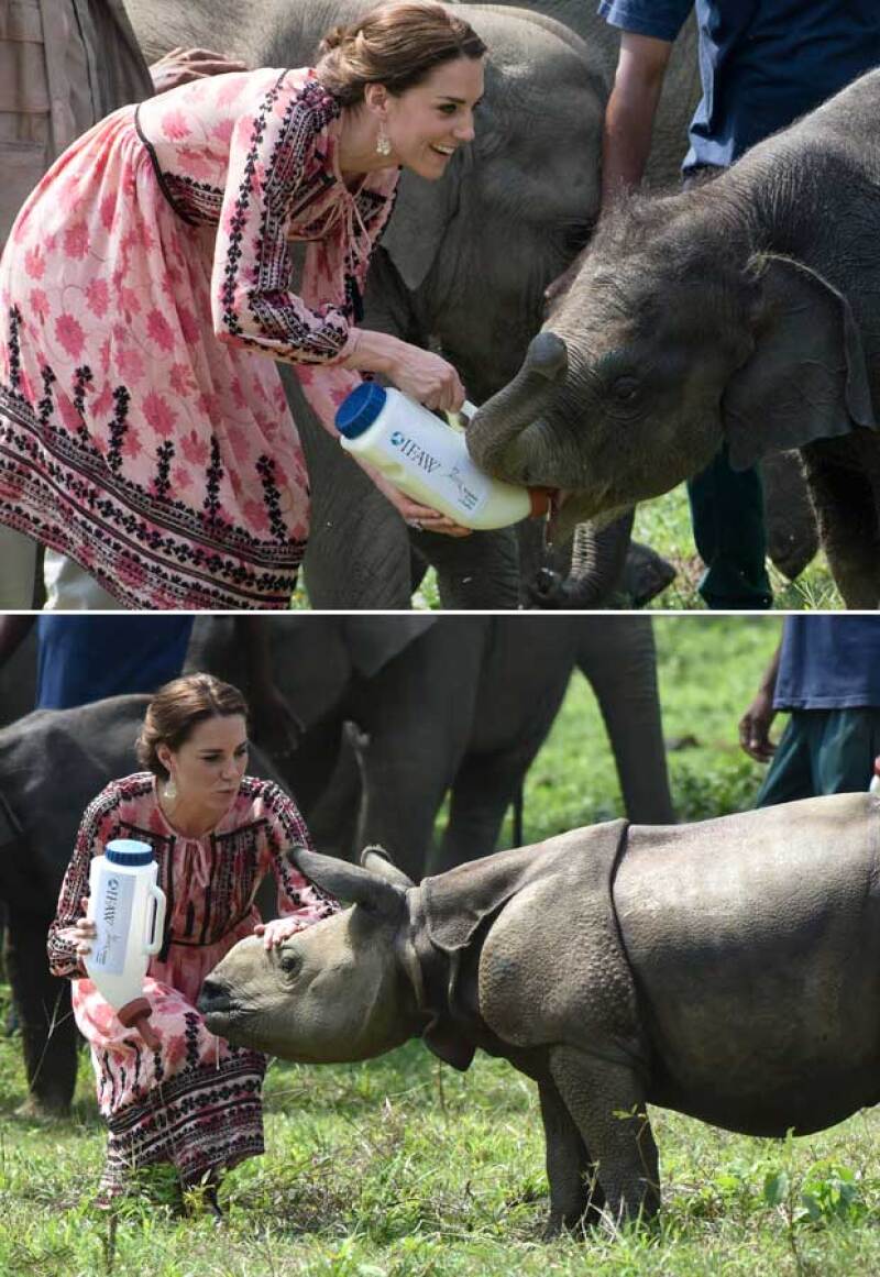 La duquesa de Cambridge se mostró como toda una profesional alimentando a las especies de Kazaringa