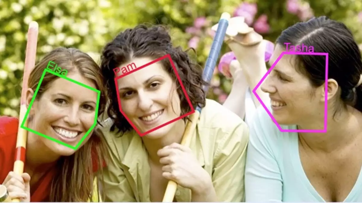 reconocimiento facial google pittpatt
