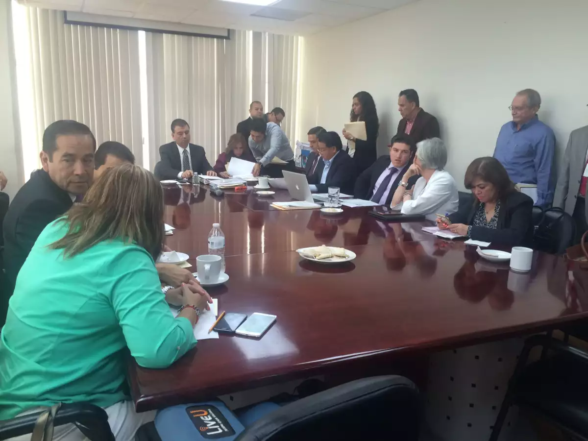 Revisión de cuentas